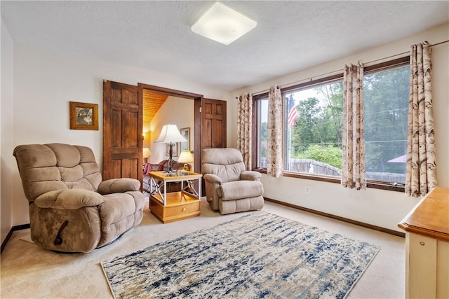 living area featuring a textured ceiling and carpet floors