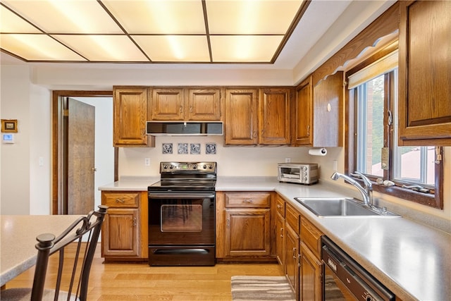 kitchen featuring light hardwood / wood-style flooring, black appliances, and sink