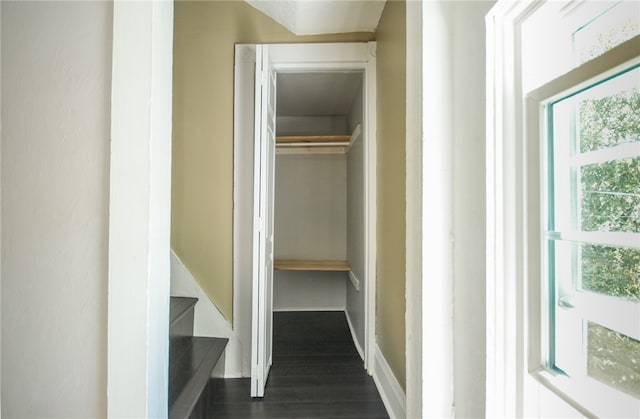 hallway featuring dark hardwood / wood-style floors