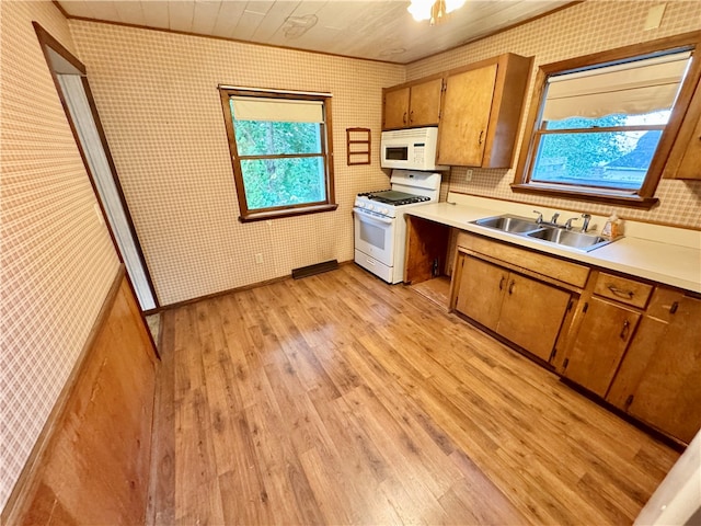 kitchen featuring sink, light hardwood / wood-style floors, white appliances, and a healthy amount of sunlight