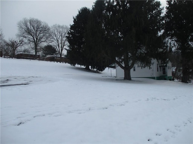 view of yard layered in snow