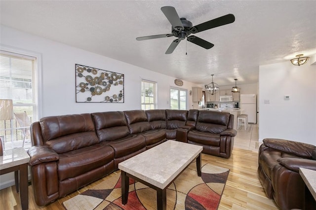 living room featuring ceiling fan with notable chandelier, a textured ceiling, and light hardwood / wood-style flooring