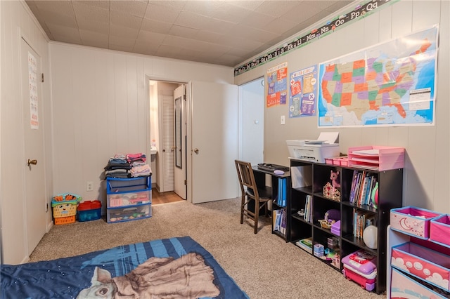 playroom with light carpet