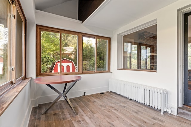 sunroom featuring radiator