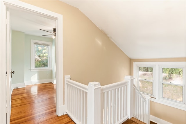 hallway featuring lofted ceiling, light hardwood / wood-style floors, and a healthy amount of sunlight