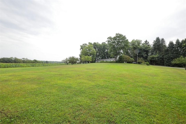 view of yard featuring a rural view