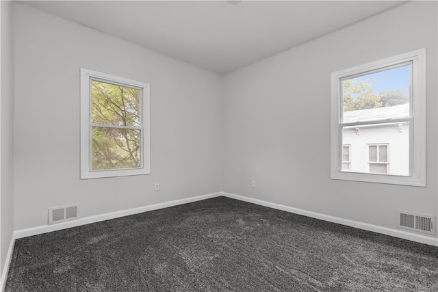 empty room with a wealth of natural light and carpet flooring