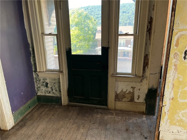 doorway to outside with a wealth of natural light and dark hardwood / wood-style flooring