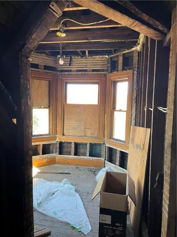 miscellaneous room with a healthy amount of sunlight