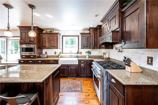 kitchen featuring appliances with stainless steel finishes, dark brown cabinets, sink, and a healthy amount of sunlight