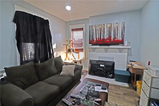 living room featuring wood-type flooring and a fireplace