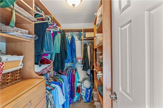 view of walk in closet