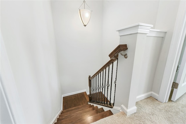 stairs with carpet flooring