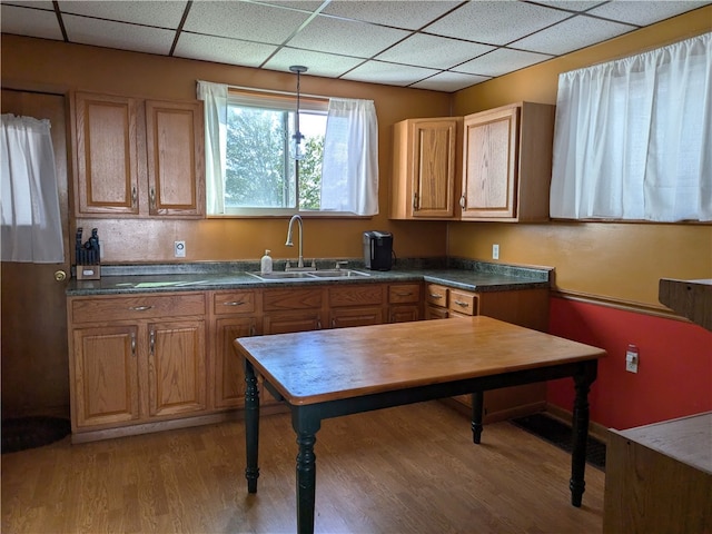 kitchen with sink, hardwood / wood-style floors, decorative light fixtures, and a drop ceiling