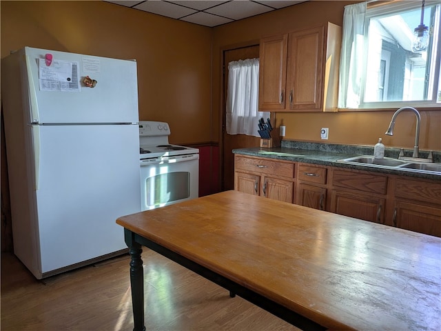 kitchen featuring hardwood / wood-style floors, a drop ceiling, white appliances, and sink