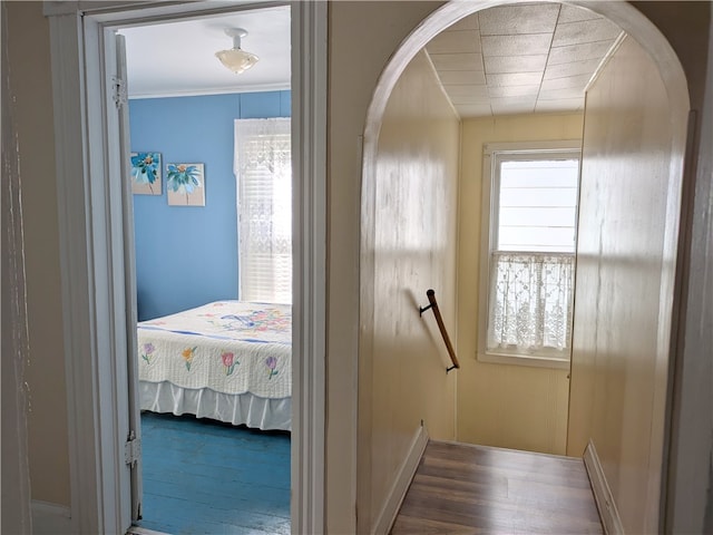 hall featuring hardwood / wood-style flooring and ornamental molding