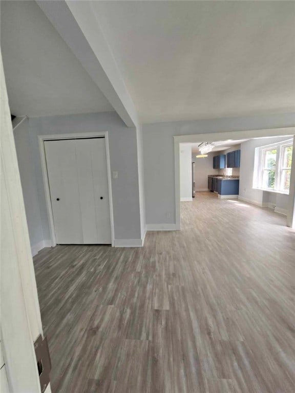 unfurnished living room with wood-type flooring