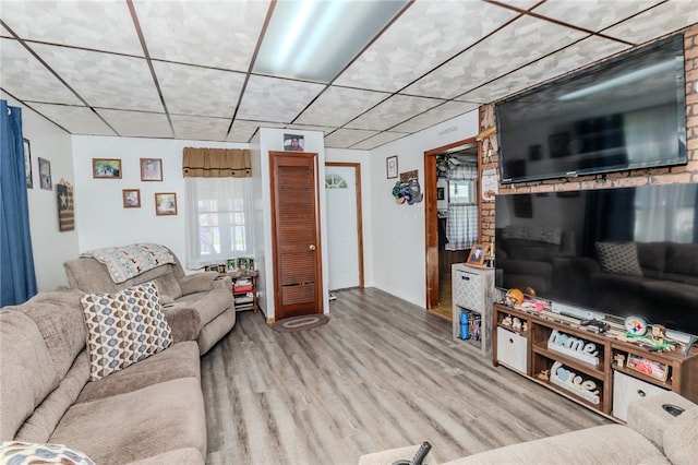 living room featuring light wood-type flooring