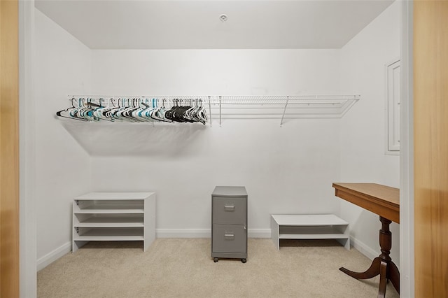 spacious closet with light carpet