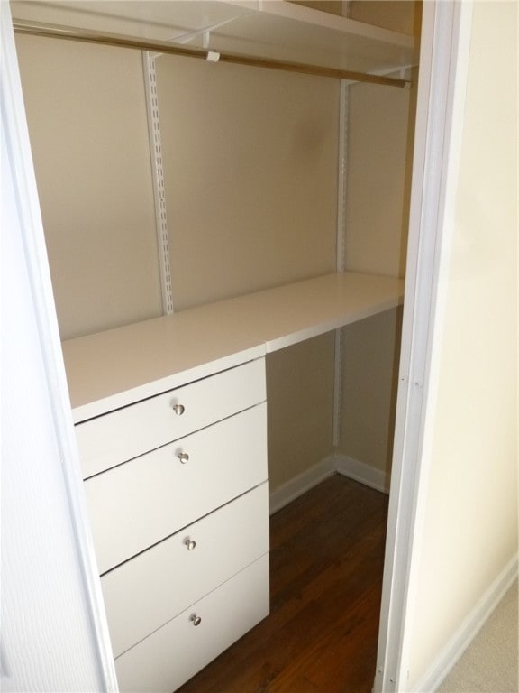 spacious closet featuring dark wood-type flooring