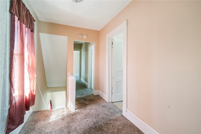 interior space with a wealth of natural light and carpet