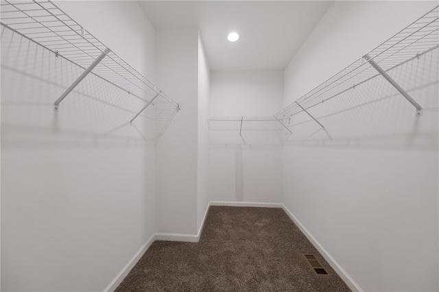 walk in closet with carpet flooring