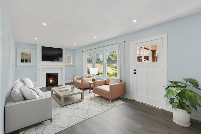 living room with a fireplace and hardwood / wood-style floors