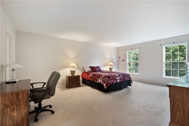 bedroom featuring carpet