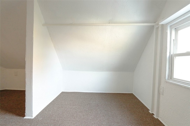 bonus room with lofted ceiling and plenty of natural light