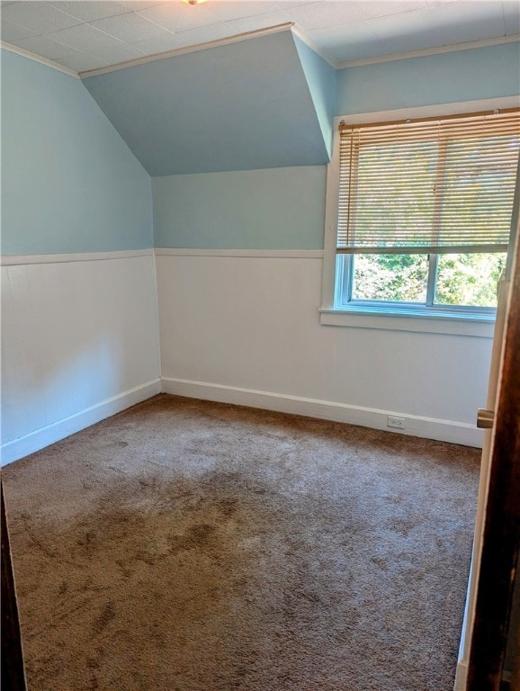 bonus room with lofted ceiling and carpet floors