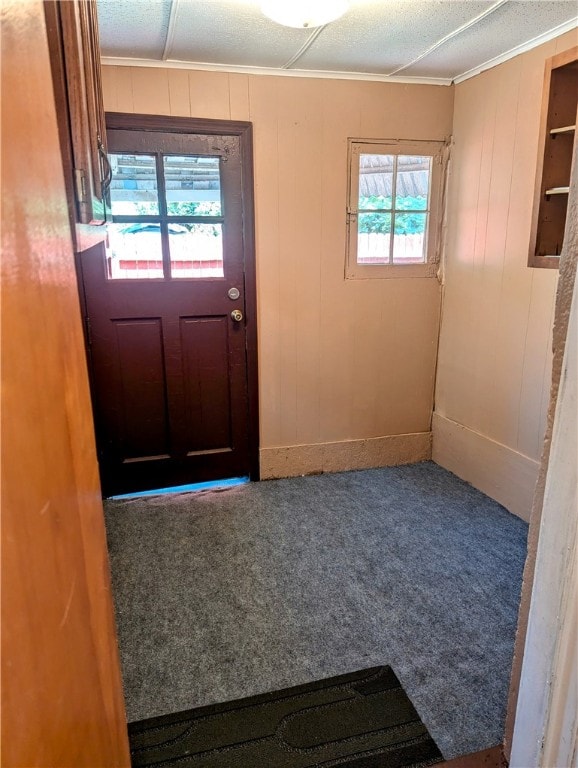 doorway featuring plenty of natural light, wooden walls, and carpet