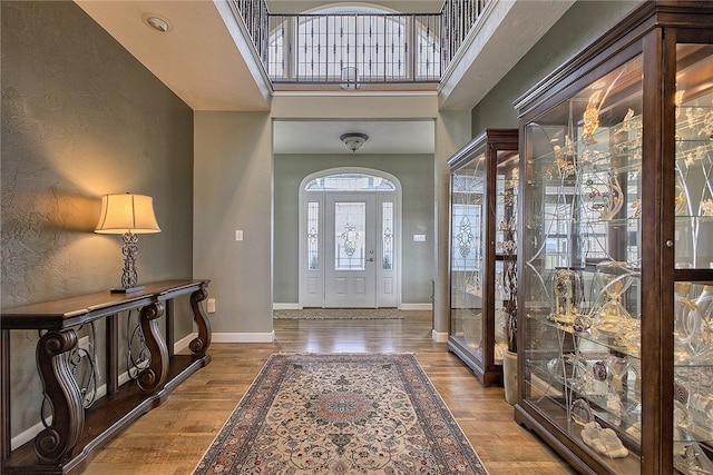 foyer entrance with wood-type flooring