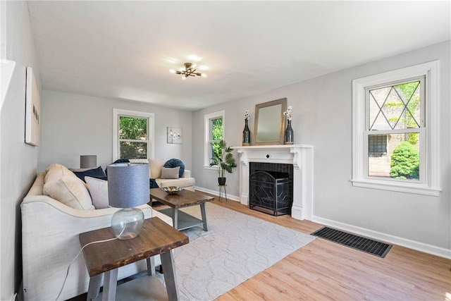 living room with a healthy amount of sunlight, wood-type flooring, and a fireplace