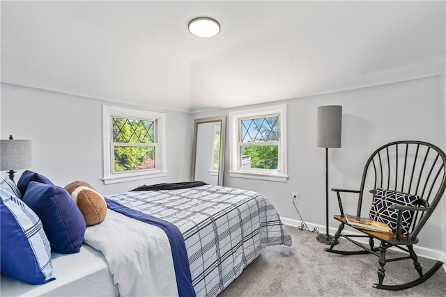 carpeted bedroom featuring multiple windows