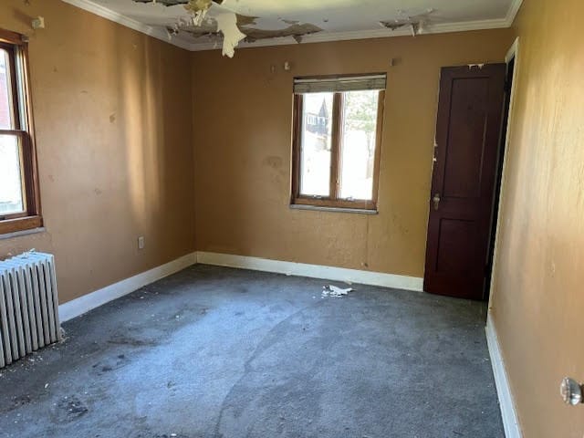 spare room featuring ceiling fan, ornamental molding, radiator heating unit, and carpet floors