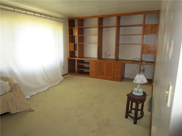 misc room featuring carpet floors