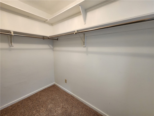 spacious closet featuring carpet