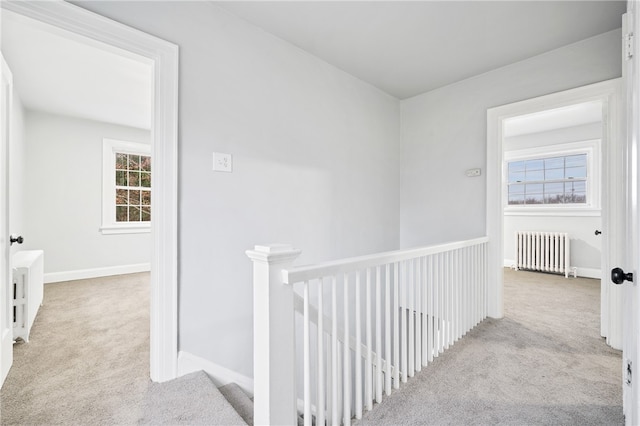 hall with a wealth of natural light, radiator heating unit, and light carpet