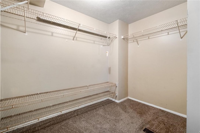 spacious closet with carpet flooring