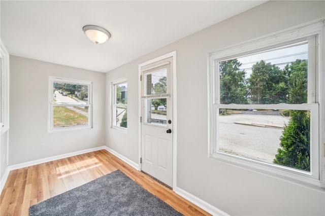 doorway with wood-type flooring and a wealth of natural light