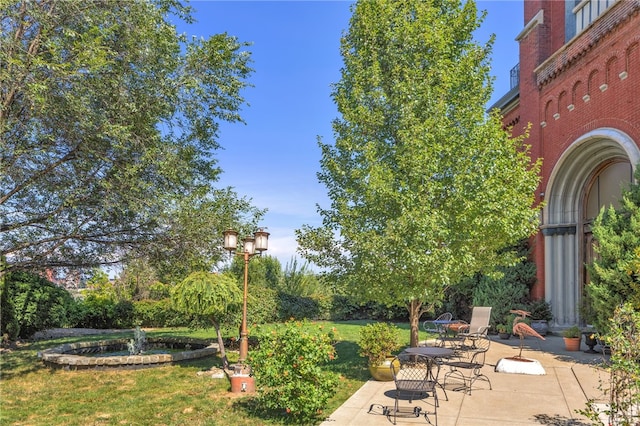 view of yard featuring a patio area