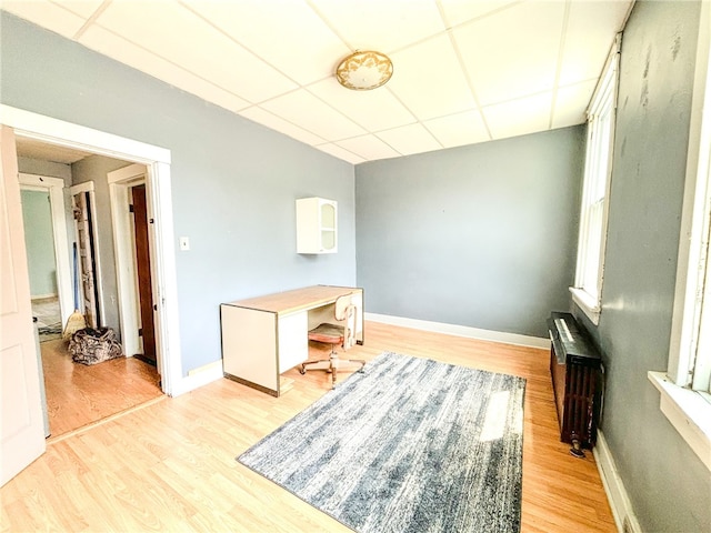 sitting room featuring radiator, light hardwood / wood-style flooring, and a drop ceiling