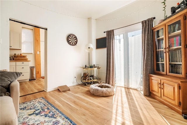 sitting room featuring light hardwood / wood-style floors