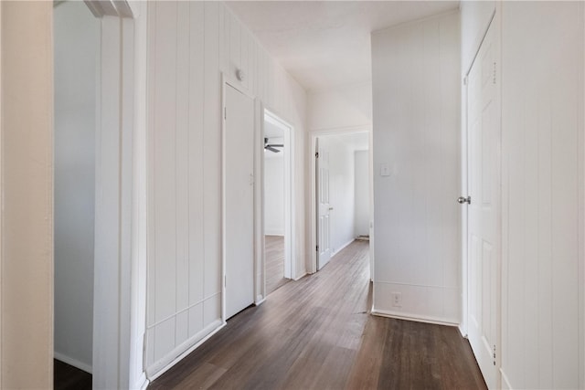 hallway with dark hardwood / wood-style flooring