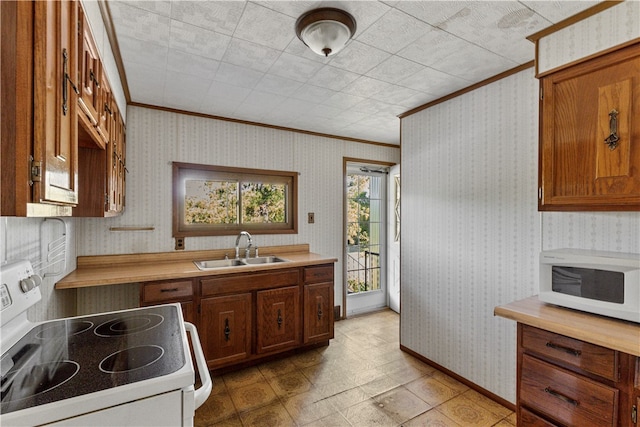 kitchen featuring white appliances, ornamental molding, and sink