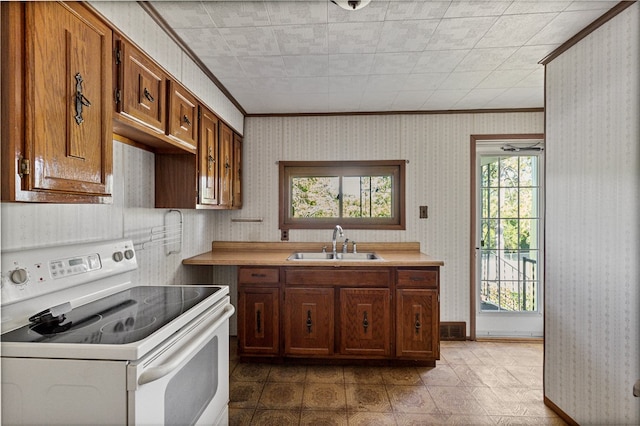 kitchen featuring ornamental molding, white range with electric cooktop, and sink