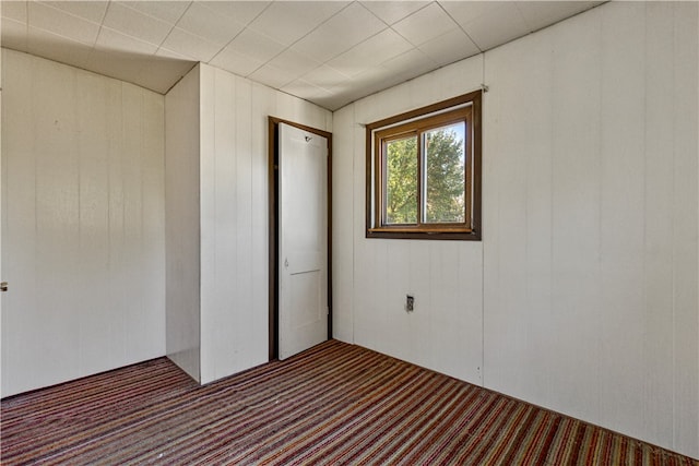 interior space featuring wood walls and carpet