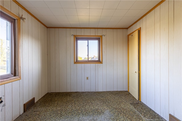 spare room featuring wood walls and a wealth of natural light