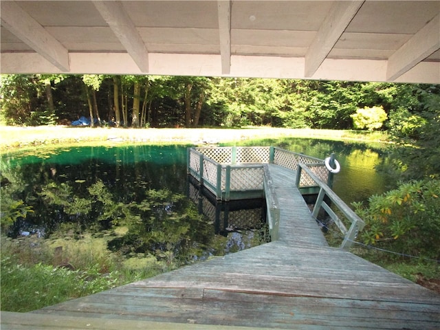 dock area featuring a water view