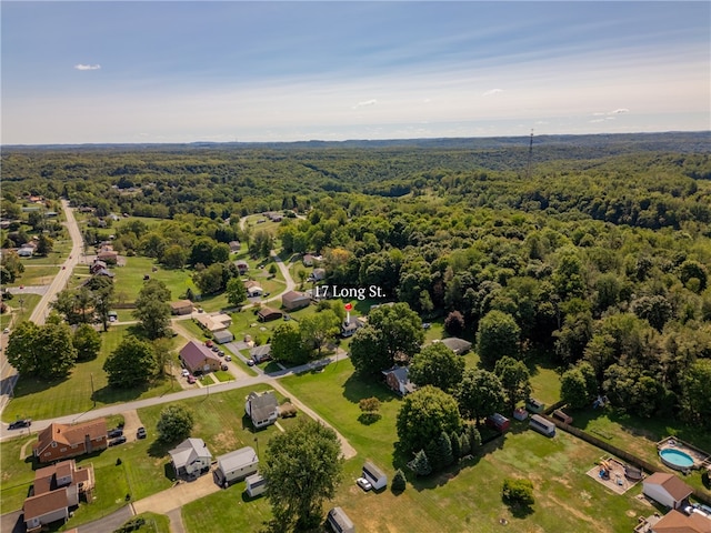 bird's eye view